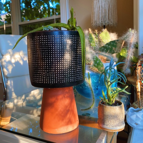 Handmade By Me Planter Terracota Dot 🔮 - Picture 10 of 16